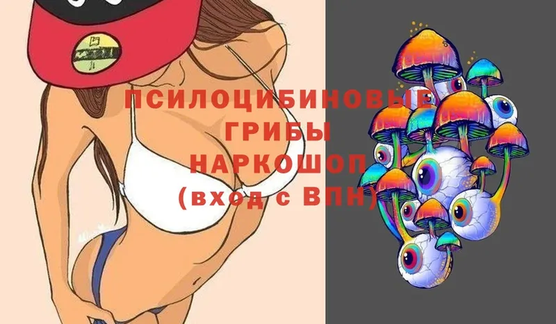 Псилоцибиновые грибы MAGIC MUSHROOMS  Алатырь 